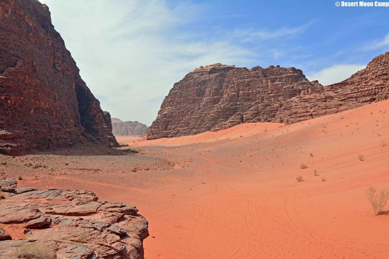 Desert Moon Camp Ουάντι Ραμ Εξωτερικό φωτογραφία